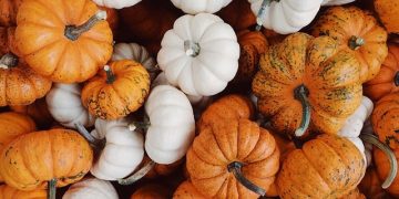 Nutritionist reveals the key benefits of adding pumpkin to your diet this October