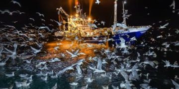 Wildlife Photographer of The Year exhibition at Wolverhampton Art Gallery this month