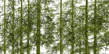 Libraries to host Winter Warmth and Wellbeing sessions