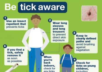 How to stay safe this tick season